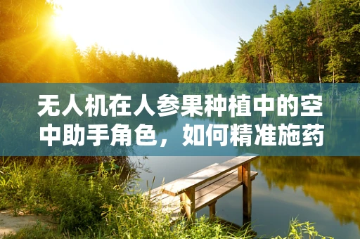 无人机在人参果种植中的空中助手角色，如何精准施药而不伤果？