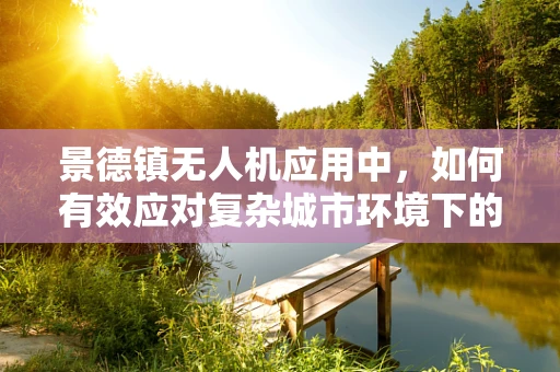 景德镇无人机应用中，如何有效应对复杂城市环境下的飞行挑战？