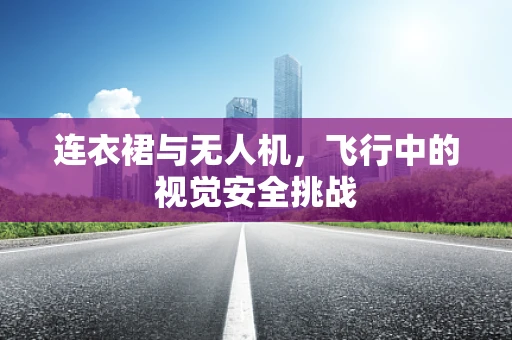 连衣裙与无人机，飞行中的视觉安全挑战