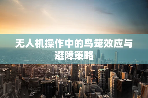 无人机操作中的鸟笼效应与避障策略