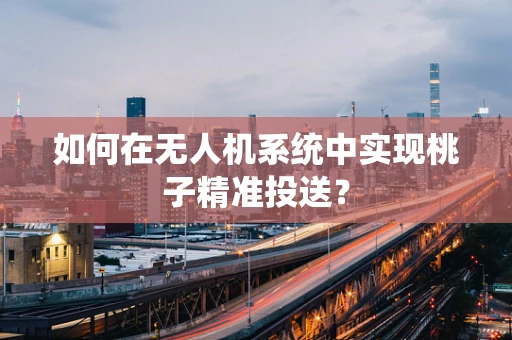 如何在无人机系统中实现桃子精准投送？