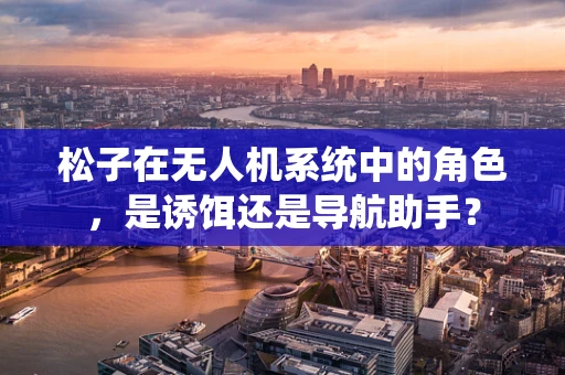 松子在无人机系统中的角色，是诱饵还是导航助手？