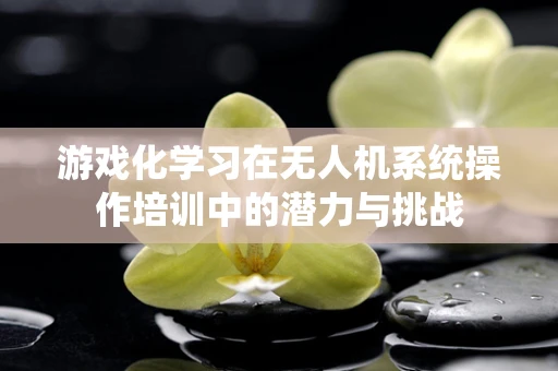 游戏化学习在无人机系统操作培训中的潜力与挑战