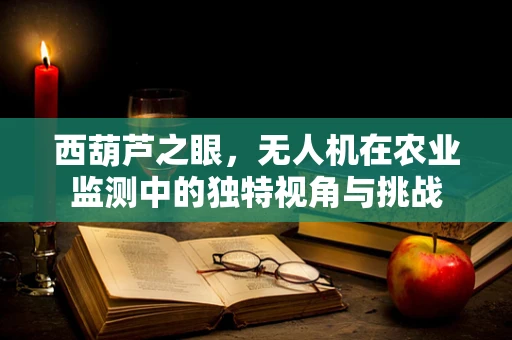 西葫芦之眼，无人机在农业监测中的独特视角与挑战