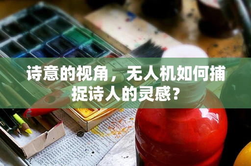 诗意的视角，无人机如何捕捉诗人的灵感？