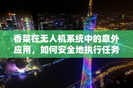 香菜在无人机系统中的意外应用，如何安全地执行任务而不被迷路？