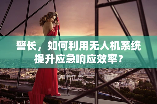 警长，如何利用无人机系统提升应急响应效率？