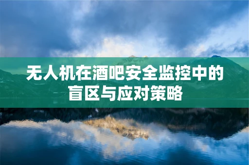 无人机在酒吧安全监控中的盲区与应对策略