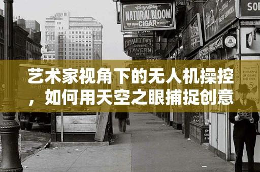 艺术家视角下的无人机操控，如何用天空之眼捕捉创意瞬间？