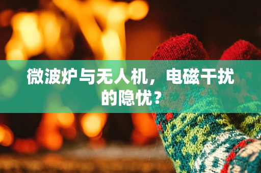 微波炉与无人机，电磁干扰的隐忧？