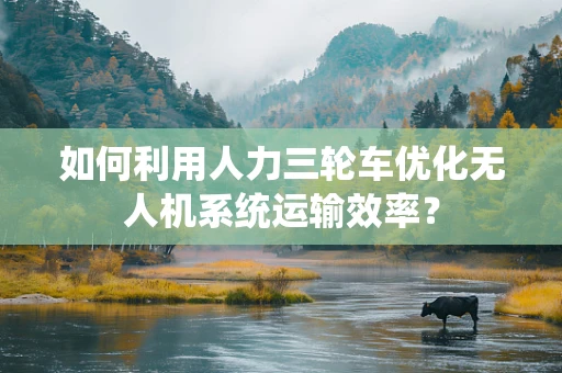 如何利用人力三轮车优化无人机系统运输效率？