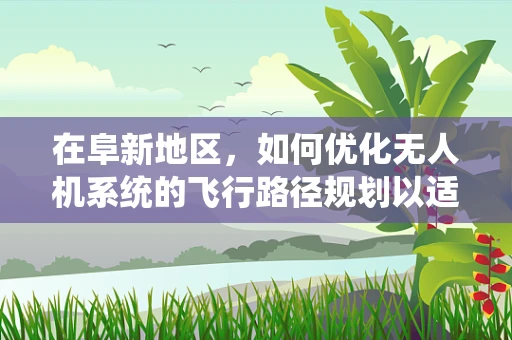 在阜新地区，如何优化无人机系统的飞行路径规划以适应复杂地形？