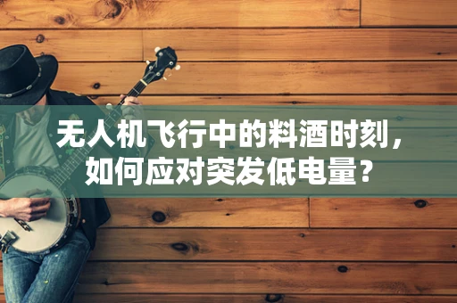 无人机飞行中的料酒时刻，如何应对突发低电量？