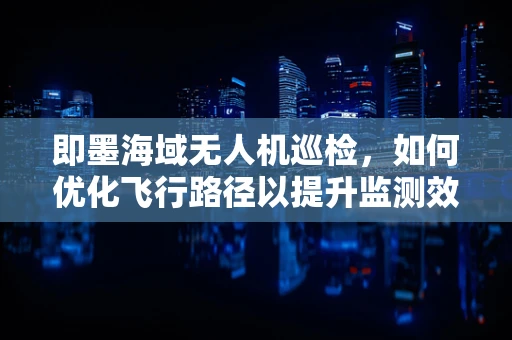 即墨海域无人机巡检，如何优化飞行路径以提升监测效率？