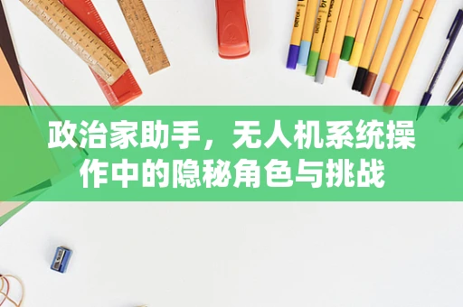 政治家助手，无人机系统操作中的隐秘角色与挑战