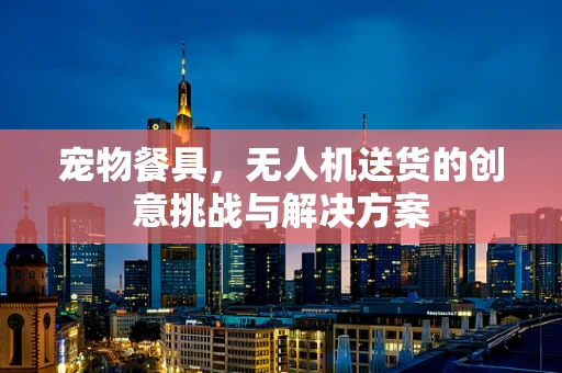 宠物餐具，无人机送货的创意挑战与解决方案