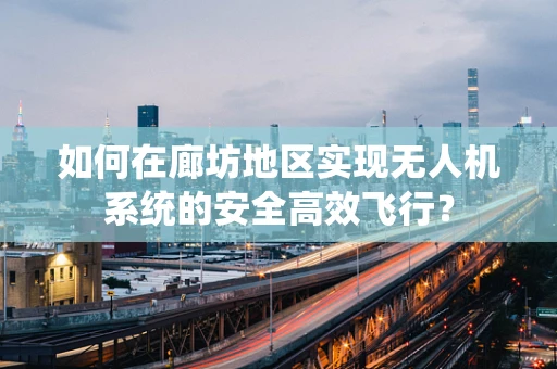 如何在廊坊地区实现无人机系统的安全高效飞行？