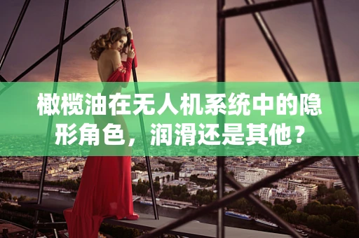 橄榄油在无人机系统中的隐形角色，润滑还是其他？