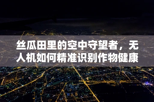 丝瓜田里的空中守望者，无人机如何精准识别作物健康？