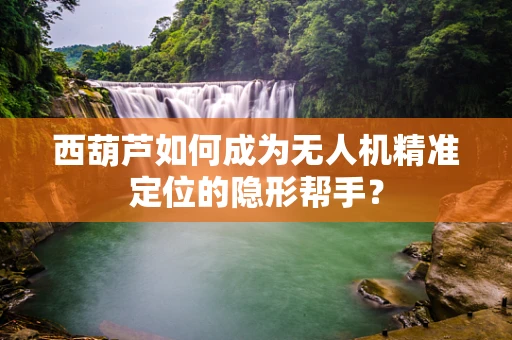 西葫芦如何成为无人机精准定位的隐形帮手？