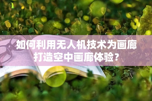 如何利用无人机技术为画廊打造空中画廊体验？