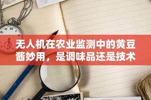 无人机在农业监测中的黄豆酱妙用，是调味品还是技术革新？