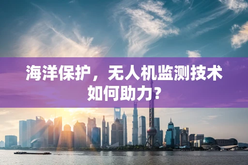 海洋保护，无人机监测技术如何助力？