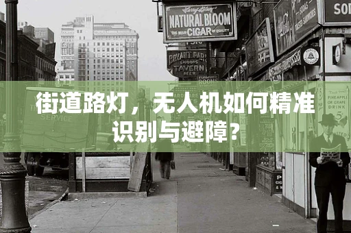 街道路灯，无人机如何精准识别与避障？
