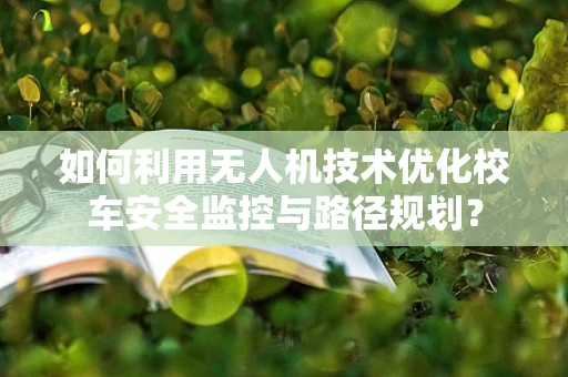 如何利用无人机技术优化校车安全监控与路径规划？