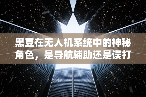 黑豆在无人机系统中的神秘角色，是导航辅助还是误打误撞的巧合？