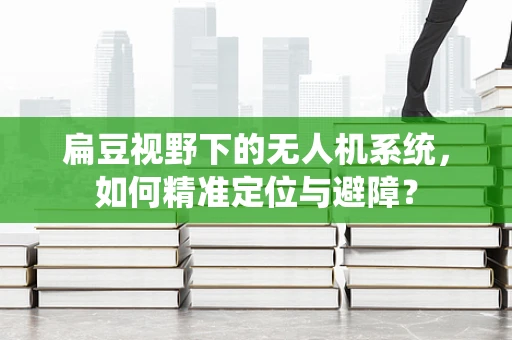 扁豆视野下的无人机系统，如何精准定位与避障？