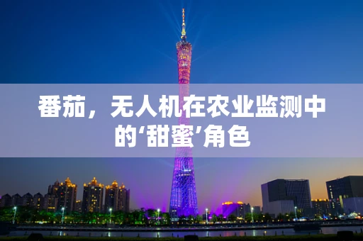 番茄，无人机在农业监测中的‘甜蜜’角色