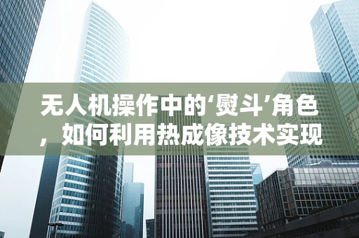 无人机操作中的‘熨斗’角色，如何利用热成像技术实现精准导航？