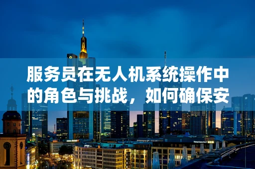 服务员在无人机系统操作中的角色与挑战，如何确保安全与效率的双重保障？