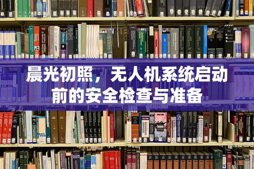晨光初照，无人机系统启动前的安全检查与准备