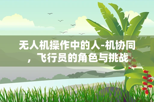 无人机操作中的人-机协同，飞行员的角色与挑战