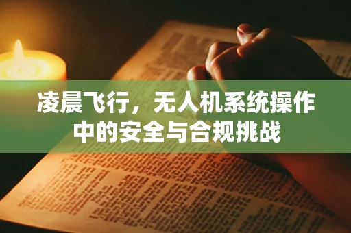 凌晨飞行，无人机系统操作中的安全与合规挑战