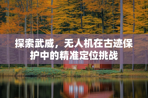 探索武威，无人机在古迹保护中的精准定位挑战