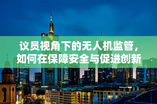 议员视角下的无人机监管，如何在保障安全与促进创新间找到平衡？