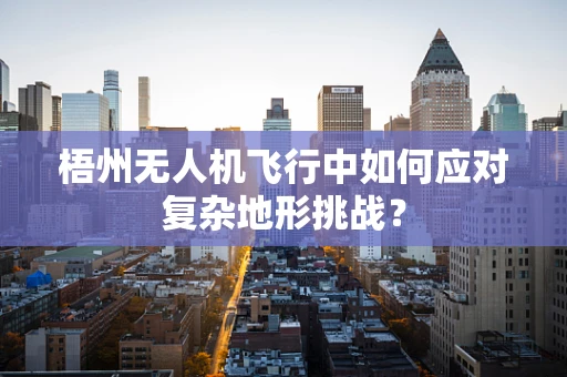 梧州无人机飞行中如何应对复杂地形挑战？