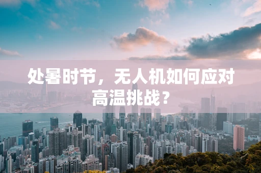 处暑时节，无人机如何应对高温挑战？