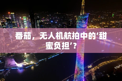 番茄，无人机航拍中的‘甜蜜负担’？