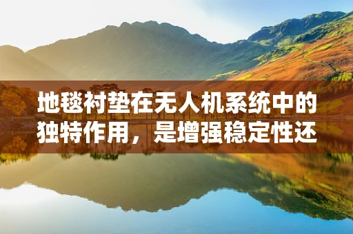 地毯衬垫在无人机系统中的独特作用，是增强稳定性还是另有他用？