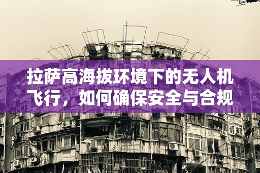 拉萨高海拔环境下的无人机飞行，如何确保安全与合规？