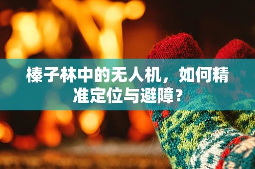 榛子林中的无人机，如何精准定位与避障？