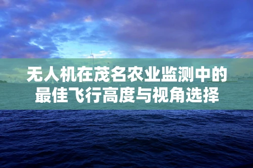 无人机在茂名农业监测中的最佳飞行高度与视角选择