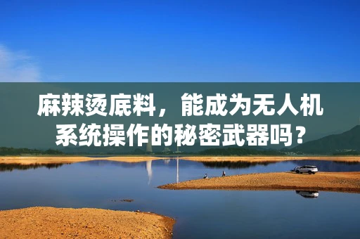 麻辣烫底料，能成为无人机系统操作的秘密武器吗？