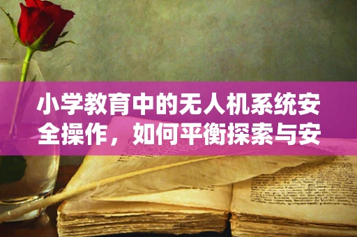小学教育中的无人机系统安全操作，如何平衡探索与安全？