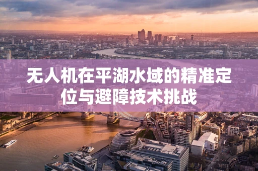 无人机在平湖水域的精准定位与避障技术挑战