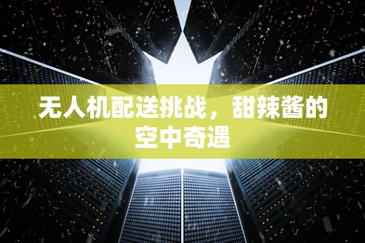 无人机配送挑战，甜辣酱的空中奇遇